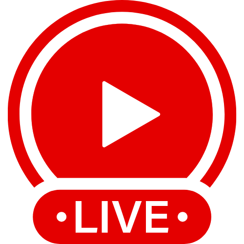 Ladyboy Fisting | Live Webcam Shows & Interactive Adult Entertainment